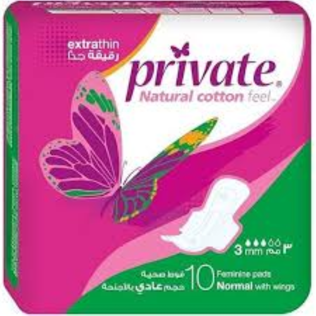 SANITA PRIVATE FEMININE 10 PADS NORMAL